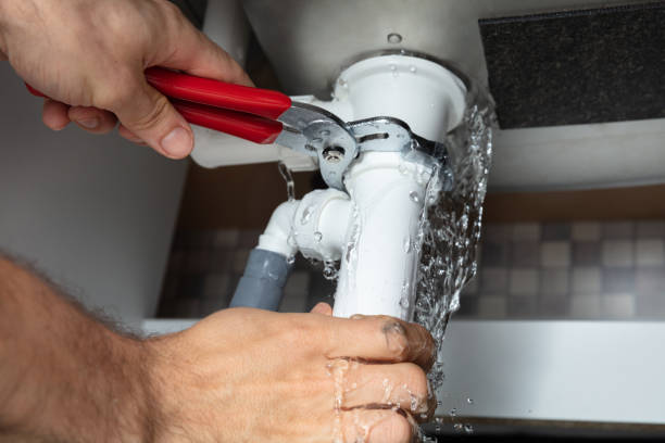 Best Water damage cleanup near me  in Elsmere, DE