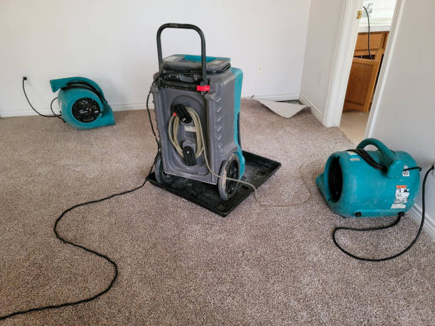 , DE Water damage restoration Company
