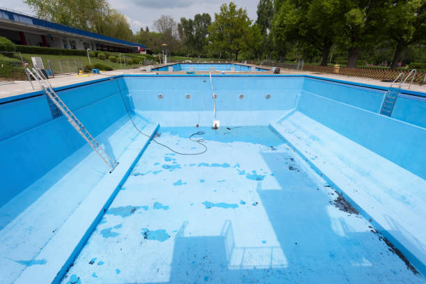 Best Water damage contractors near me  in Elsmere, DE