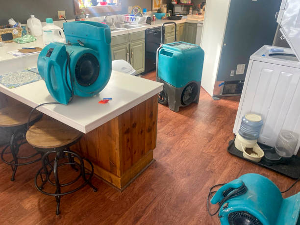 Best Emergency water damage restoration  in Elsmere, DE