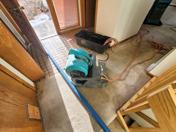 Best Water damage restoration near me  in Elsmere, DE