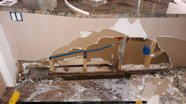 Best Professional water damage repair  in Elsmere, DE