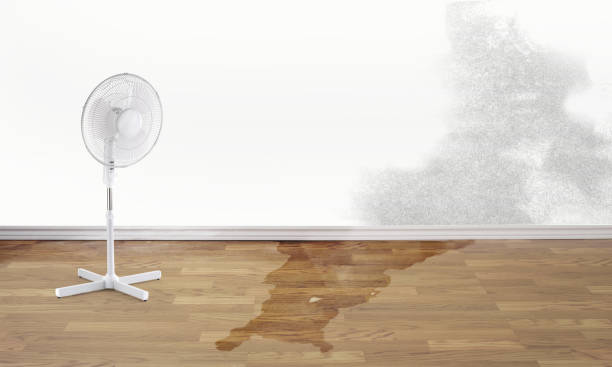Best Flood restoration services  in Elsmere, DE