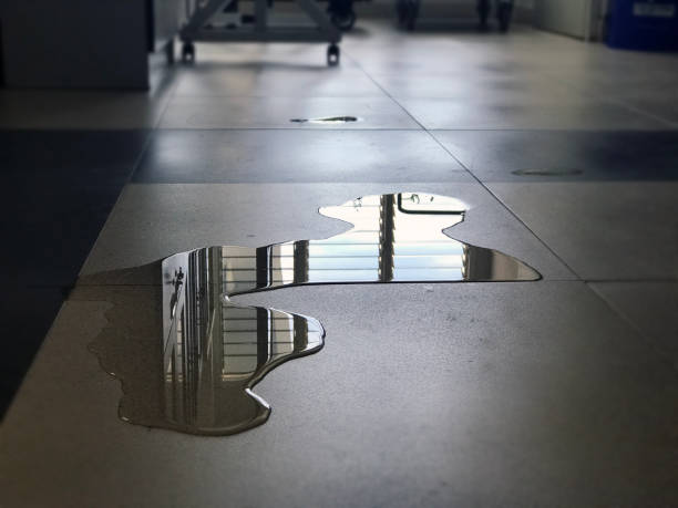 Water damage restoration experts in DE