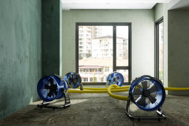 Best Water damage restoration cost  in Elsmere, DE